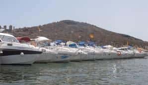 Reunión anual de armadores lema