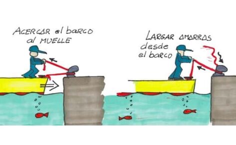 Trucos amarras por seno, windex con luz y receta de cazuela de fideos con lenguado