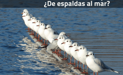 La situación de la náutica en España ¿De espaldas al mar?