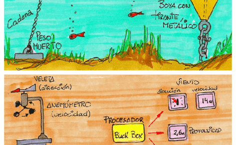 Precauciones con las boyas en el fondeo, repaso a los transductores y test de vocabulario náutico