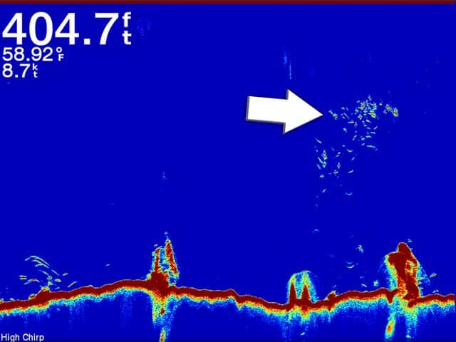 Las imágenes obtenidas con el sistema Chirp permiten visualizar ecos de pequeños objetivos a mucha profundidad