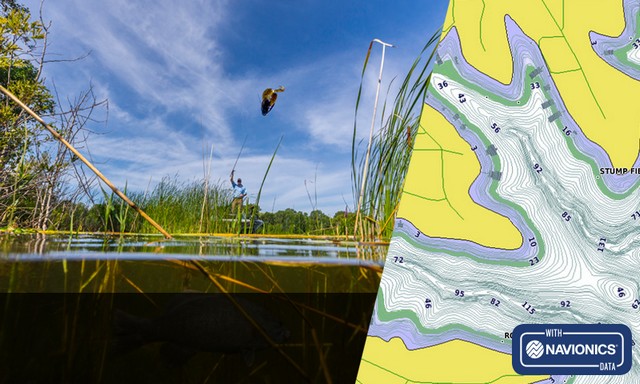 Cartografía BlueChart g3 y BlueChart g3 Vision de Garmin