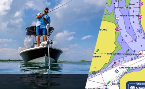 Cartografía BlueChart g3 y BlueChart g3 Vision de Garmin