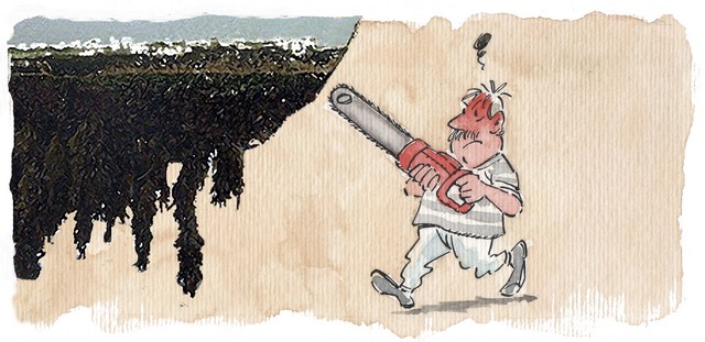 Cómo ahorrar combustible 