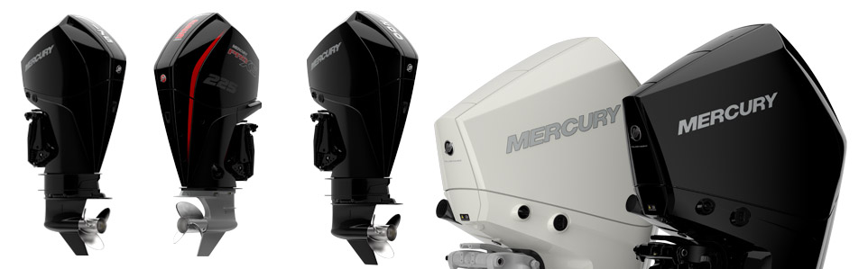 premio de diseño Red Dot 2020