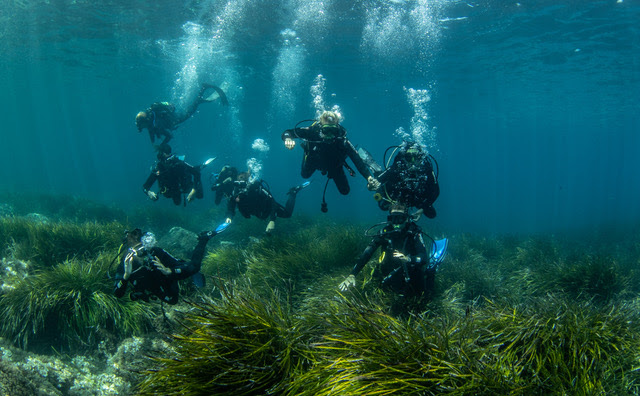 Mallorca Dive Camp