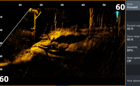 sonda en tiempo real ActiveTarget™ de Lowrance