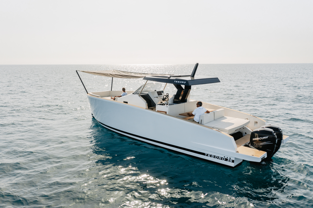 Tesoro T38 Cruiser hard top