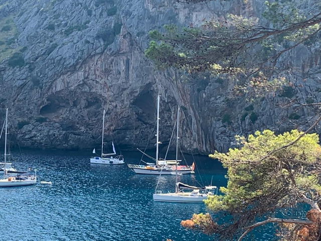 novedades tecnológicas