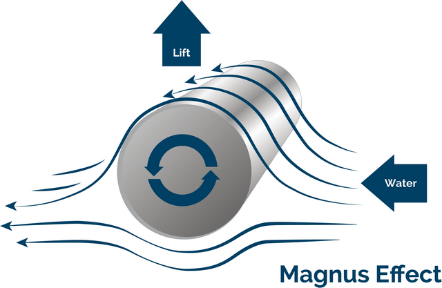 Magnus Master de DMS