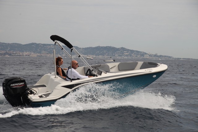 Bayliner Element M15.