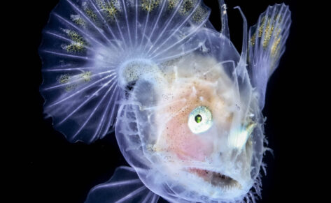 Premi Medfoto 2021: Juvenil de rap