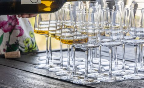 Anti-Garreo nueva app de Marinus en la AppStore