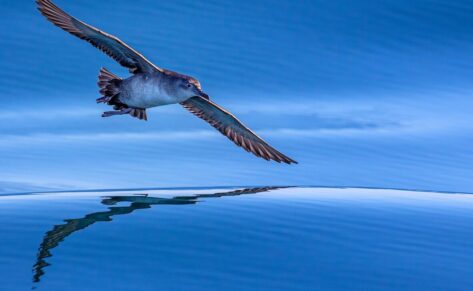 El MedFoto proclama a los ganadores e inaugura la nueva exposición