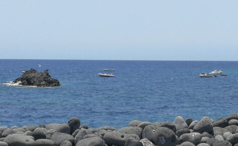 El mercado náutico registra 3.811 matriculaciones hasta junio