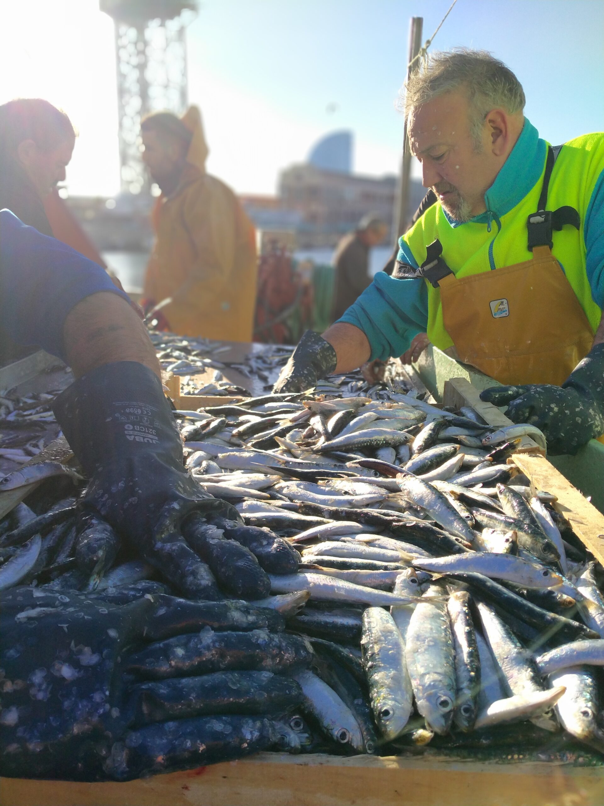 Pescadores de la Barceloneta (Barcelona)