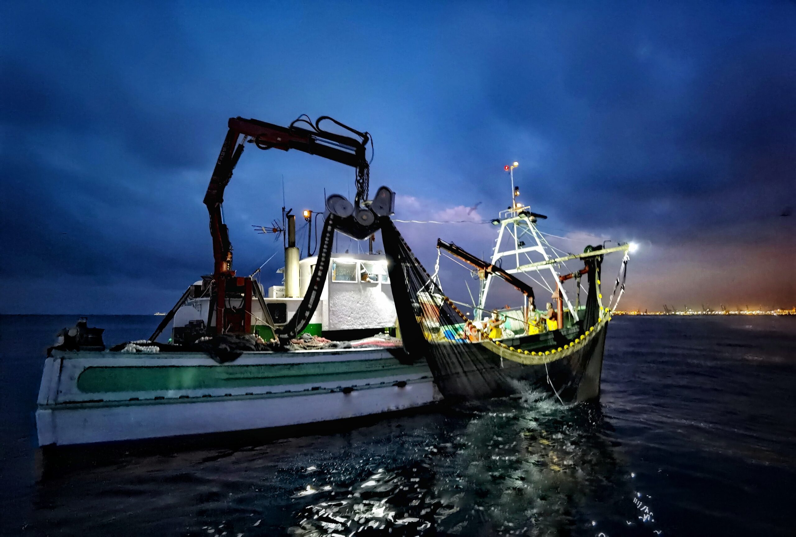 El boquerón del Mediterráneo