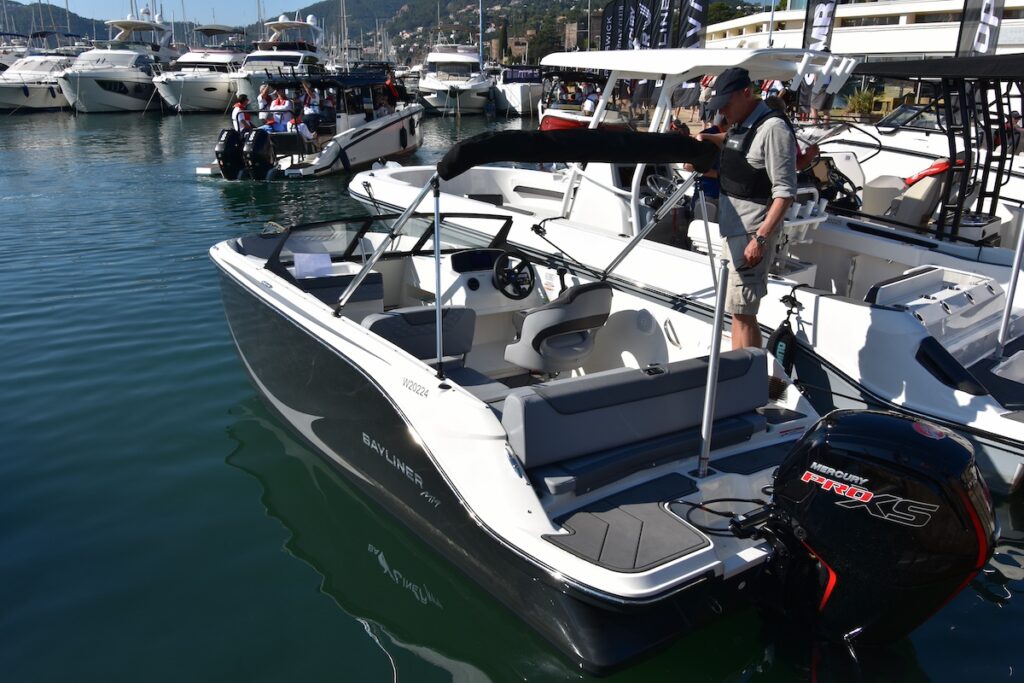 Bayliner Element M19