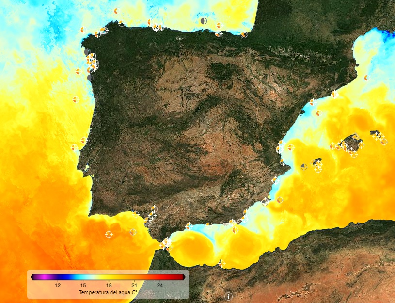 Mapa de la temperatura superficial del agua del mar el 19 de noviembre de 2023