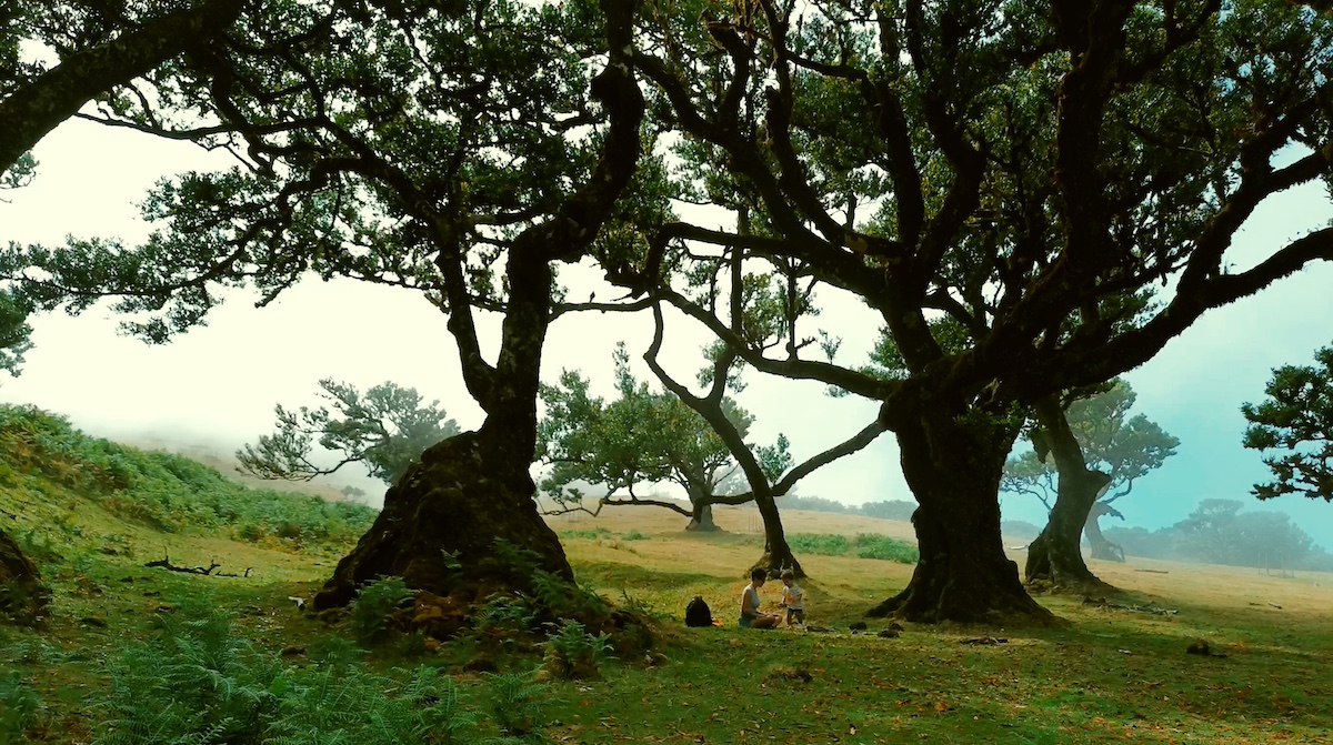 Leo y Carmen en Madeira