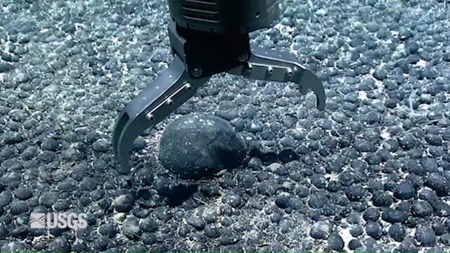 Fotograma de videoframe_57708. Imagen U.S. Geological Survey and NOAA Ocean Exploration.