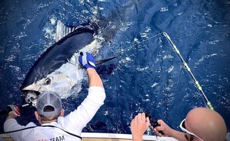 Scientific Angler Tagging Tour