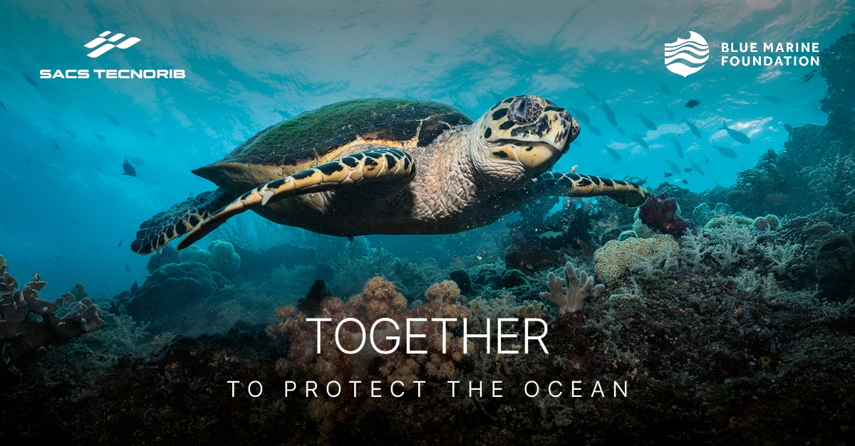 SACS TECNORIB Y BLUE MARINE FOUNDATION