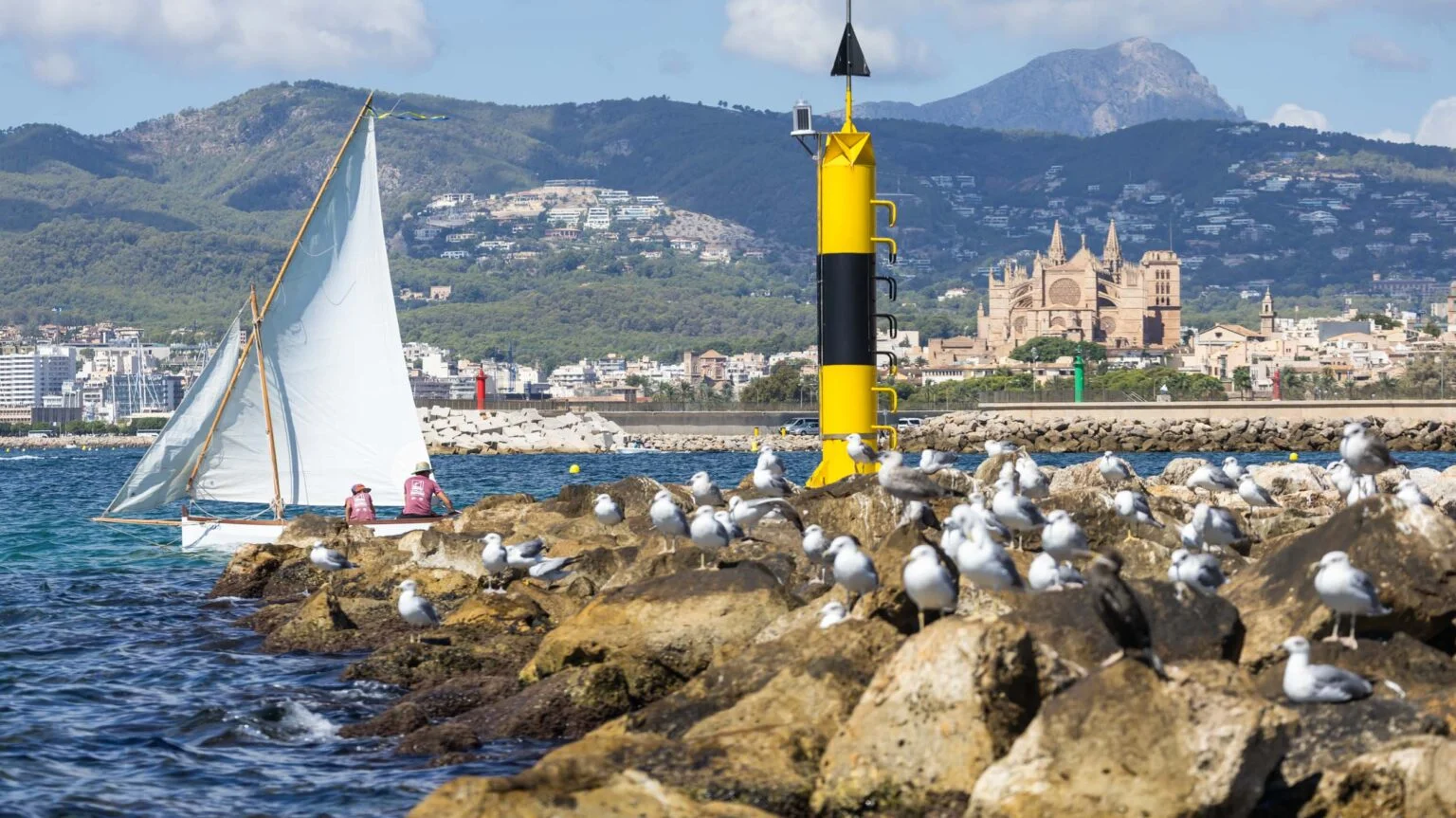 Más de 40 embarcaciones en una edición histórica de la Diada de Vela Latina