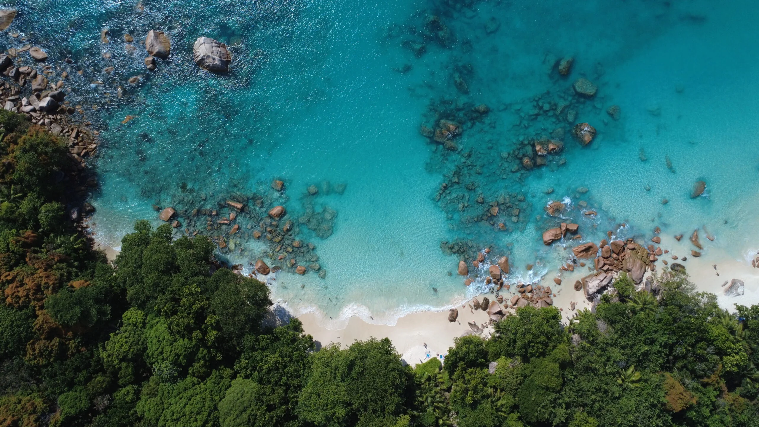 Diario de a bordo: capítulo 26 | «Encuentros maravillosos en Seychelles: estoy viviendo un sueño», por Pablo Berruezo